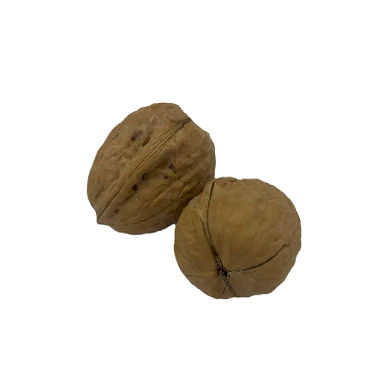 Walnut In Shell 250 Gram - عين جمل حصى 250 جرام